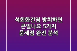 석회화건염 방치하면 큰일나요 5가지 문제점 완전 분석
