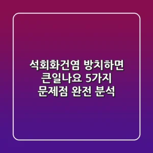 석회화건염 방치하면 큰일나요 5가지 문제점 완전 분석