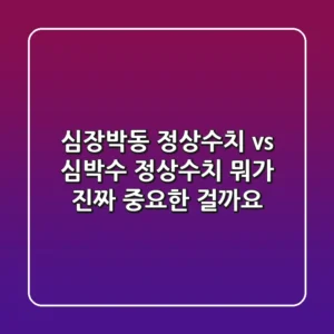심장박동 정상수치 vs 심박수 정상수치, 뭐가 진짜 중요한 걸까요?