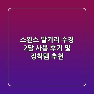 스완스 발키리 수경: 2달 사용 후기 및 정착템 추천