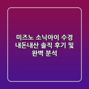 미즈노 소닉아이 수경: 내돈내산 솔직 후기 및 완벽 분석