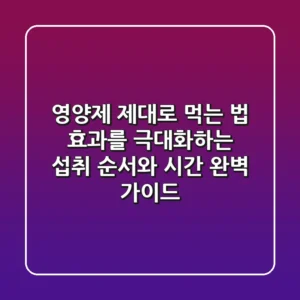 영양제 제대로 먹는 법: 효과를 극대화하는 섭취 순서와 시간 완벽 가이드
