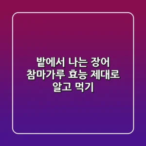 "밭에서 나는 장어" 참마가루 효능, 제대로 알고 먹기!