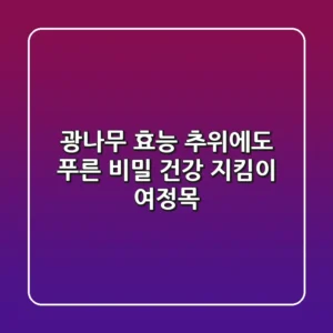 광나무 효능: 추위에도 푸른 비밀, 건강 지킴이 여정목