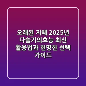 오래된 지혜, 2025년 다슬기의효능 최신 활용법과 현명한 선택 가이드