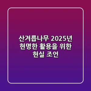 산겨릅나무, 2025년 현명한 활용을 위한 현실 조언