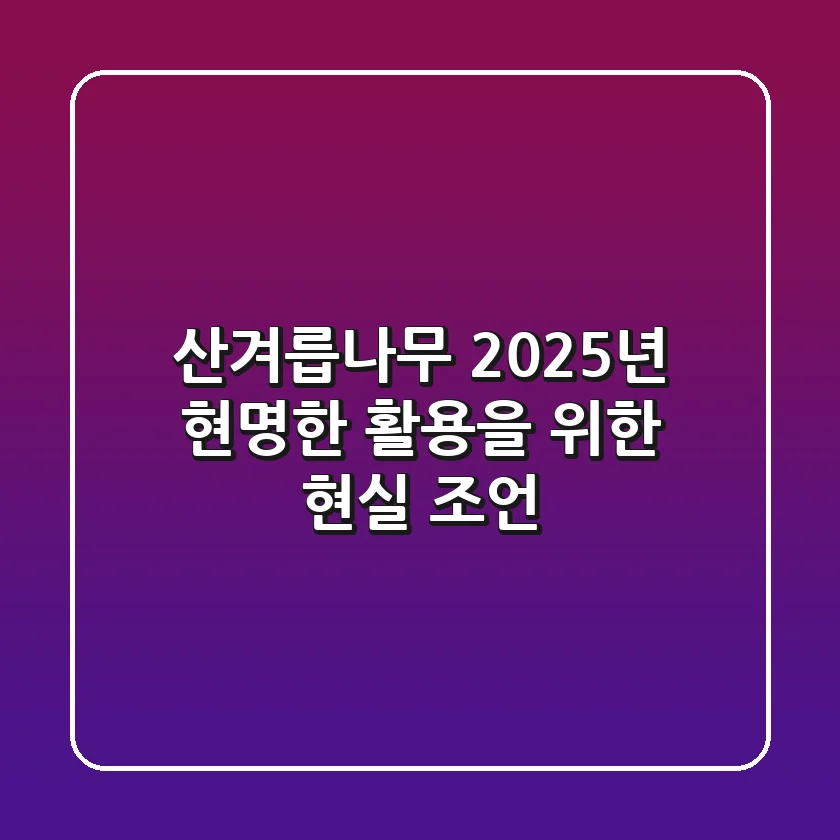 산겨릅나무, 2025년 현명한 활용을 위한 현실 조언