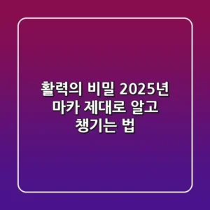 활력의 비밀: 2025년 마카, 제대로 알고 챙기는 법