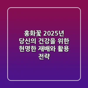 홍화꽃, 2025년 당신의 건강을 위한 현명한 재배와 활용 전략