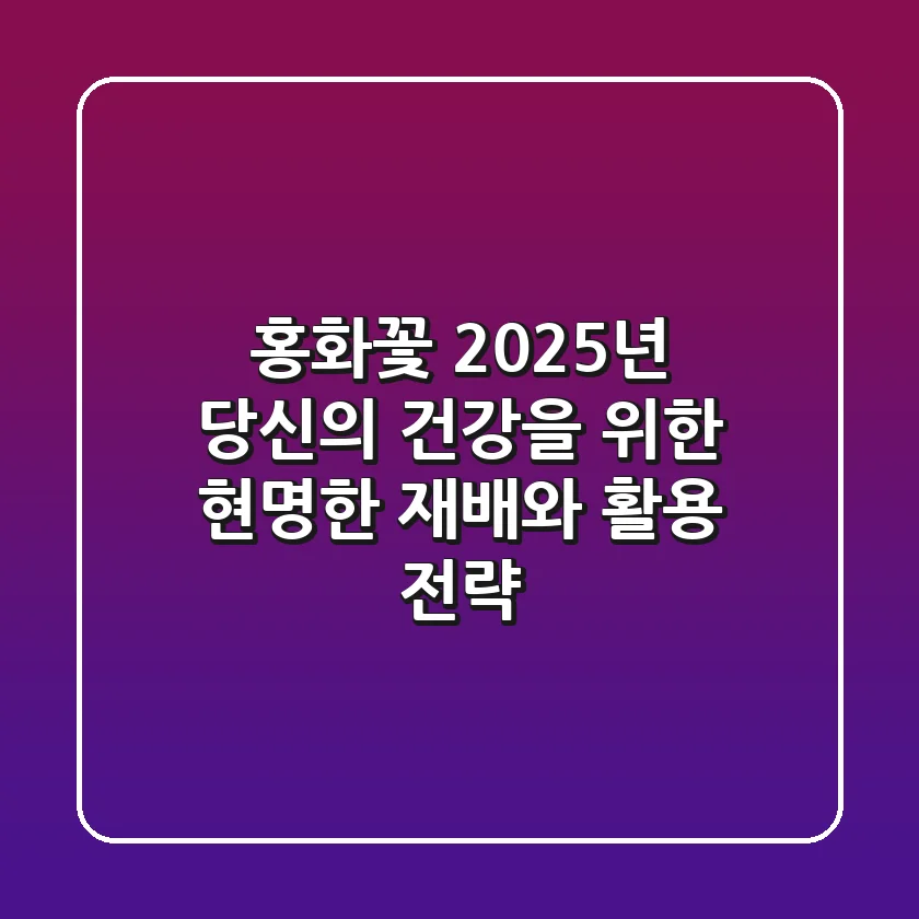 홍화꽃, 2025년 당신의 건강을 위한 현명한 재배와 활용 전략