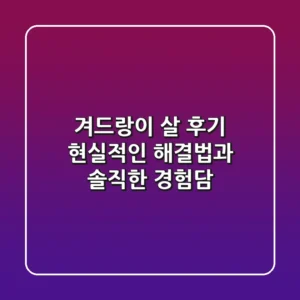겨드랑이 살 후기, 현실적인 해결법과 솔직한 경험담