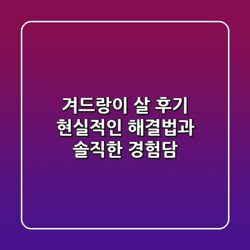 겨드랑이 살 후기, 현실적인 해결법과 솔직한 경험담