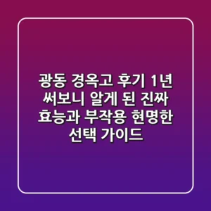 광동 경옥고 후기, 1년 써보니 알게 된 진짜 효능과 부작용, 현명한 선택 가이드