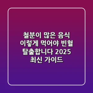 철분이 많은 음식, 이렇게 먹어야 빈혈 탈출합니다 (2025 최신 가이드)