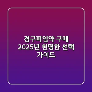 경구피임약 구매, 2025년 현명한 선택 가이드