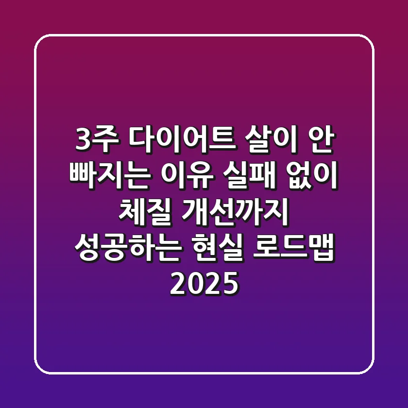 3주 다이어트, 살이 안 빠지는 이유? 실패 없이 체질 개선까지 성공하는 현실 로드맵 2025