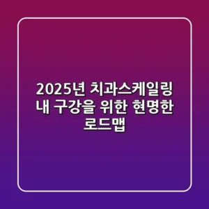 2025년 치과스케일링, 내 구강을 위한 현명한 로드맵