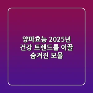 양파효능, 2025년 건강 트렌드를 이끌 숨겨진 보물