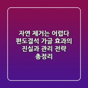 "자연 제거는 어렵다", 편도결석 가글 효과의 진실과 관리 전략 총정리