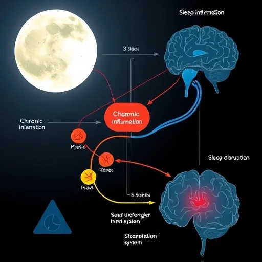 미세 염증과 만성 피로: 섬유근통 무기력함 극복의 핵심 열쇠