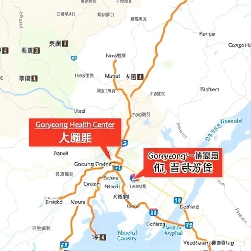 4. 고령군보건소와 만성질환 관리 연계 시스템