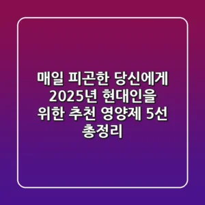 "매일 피곤한 당신에게", 2025년 현대인을 위한 추천 영양제 5선 총정리