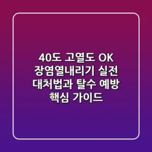 "40도 고열도 OK", 장염열내리기 실전 대처법과 탈수 예방 핵심 가이드
