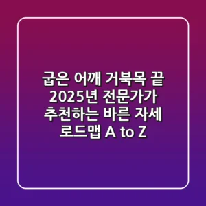 "굽은 어깨, 거북목 끝" 2025년 전문가가 추천하는 바른 자세 로드맵 A to Z