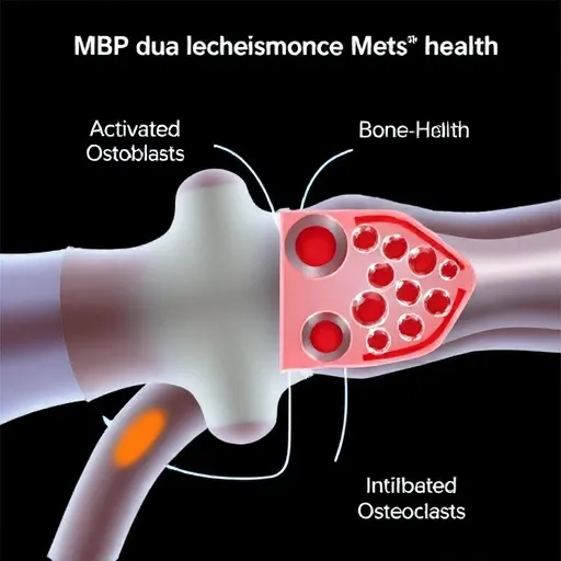'뼈엔 엠비피 MBP' 제품 선택 시 놓치지 말아야 할 2025년 가이드