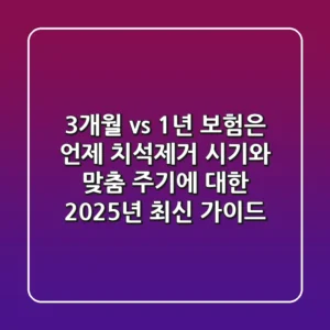 "3개월 vs 1년, 보험은 언제?", 치석제거 시기와 맞춤 주기에 대한 2025년 최신 가이드