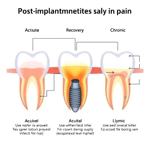 임플란트 실패를 막는 정기 검진 및 전문 유지 관리 솔루션
