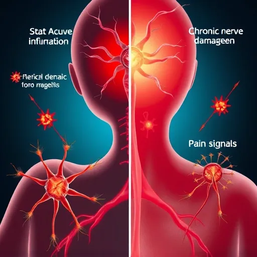 2025년 최신 통증 관리 전략: 비약물 및 보조 치료의 활용