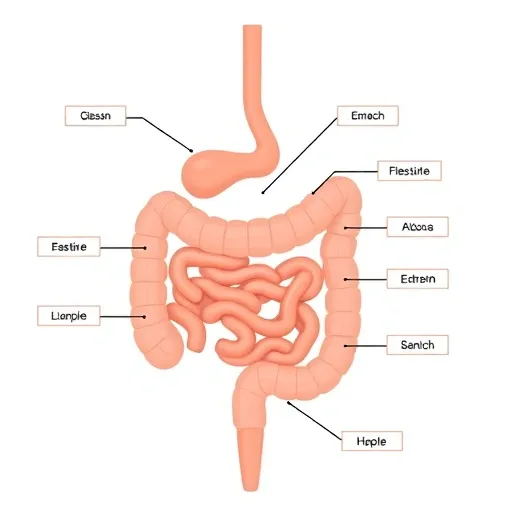 재발성 탈장 관리의 핵심 전략: 인공막 재질 선택과 생활 습관 교정
